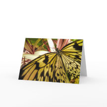 Borboleta Notecard