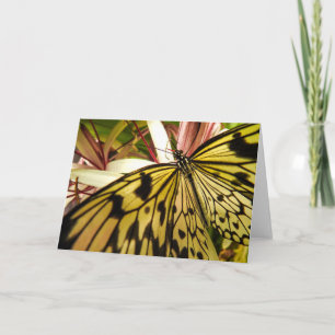 Cartão Borboleta Notecard
