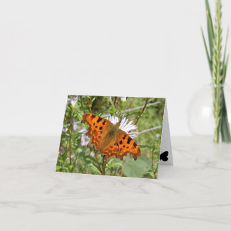 Cartão Borboleta Notecard - Vírgula