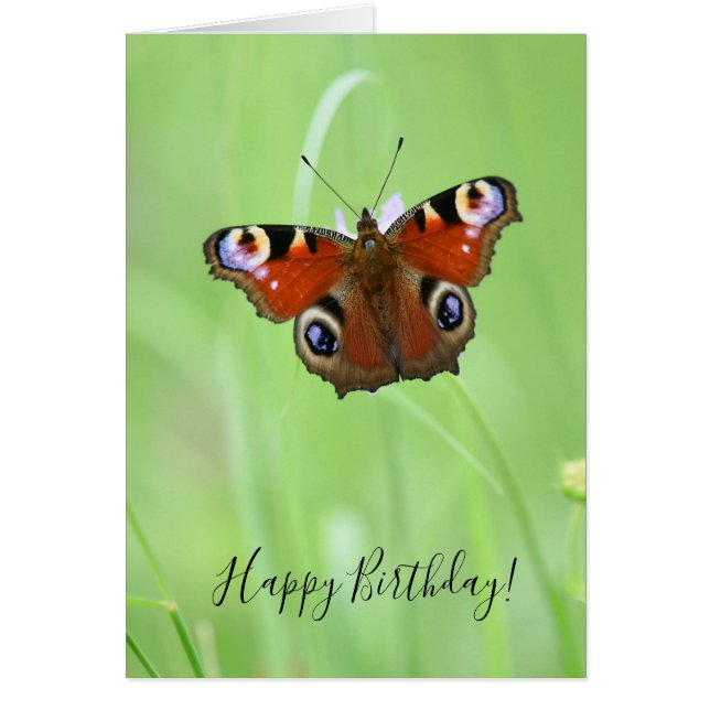 Cartão Borboleta Peacock (Frente)