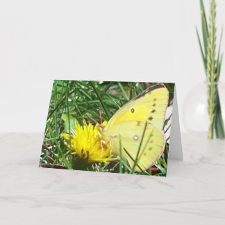 Cartão Borboleta - Pensando Em Você