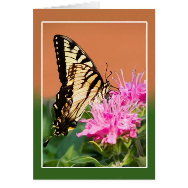 Cartão Borboleta Rabo-de-Andorinha do Leste (Frente)