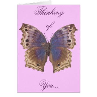 Cartão Borboleta roxa lindo