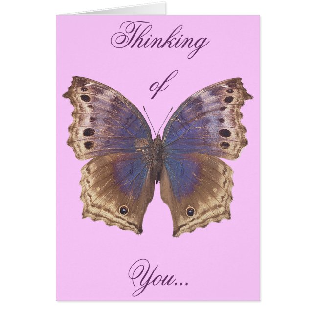 Cartão Borboleta roxa lindo (Frente)