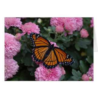 Cartão borboleta viceroy