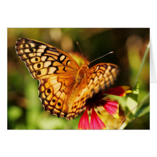 Cartão Borboleta & Wildflower