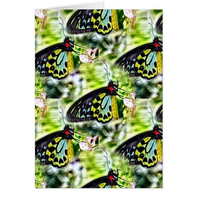 Cartão Borboletas (Frente)