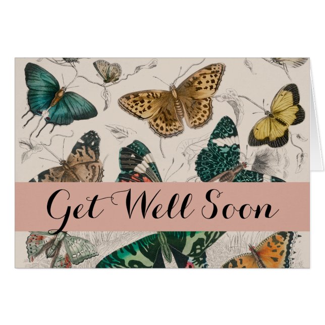 Cartão Borboletas Antigas de Coleção de Borboletas (Frente Horizontal)