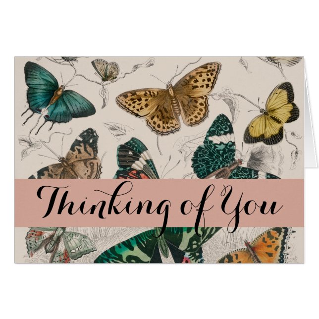 Cartão Borboletas Antigas de Coleção de Borboletas (Frente Horizontal)