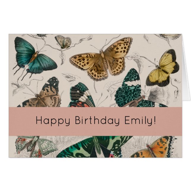 Cartão Borboletas Antigas de Coleção de Borboletas (Frente Horizontal)