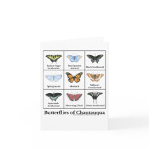 Borboletas de Chautauqua