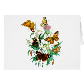 Cartão Borboletas e Astritos