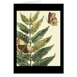 Cartão Borboletas e folhas com quadro preto