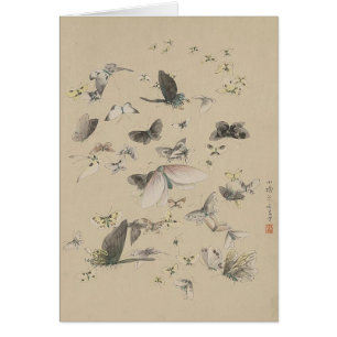 Cartão Borboletas e traças