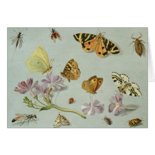 Cartão Borboletas, traças e outros insetos