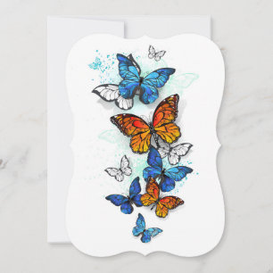 Cartão Borboletas voadoras Morpho e Monarca