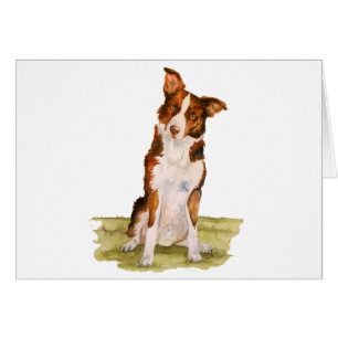 Cartão Border collie