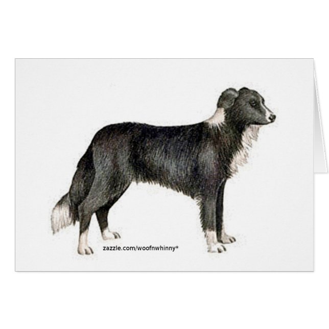 Cartão Border Collie (Frente Horizontal)
