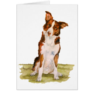 Cartão Border collie