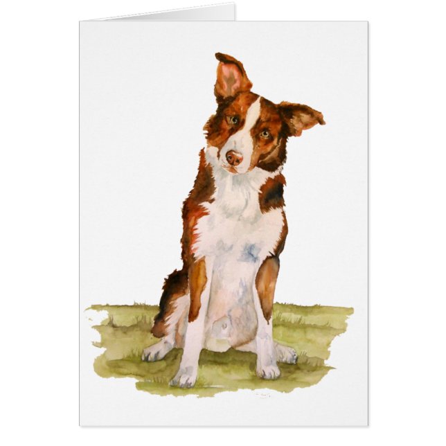 Cartão Border collie (Frente)
