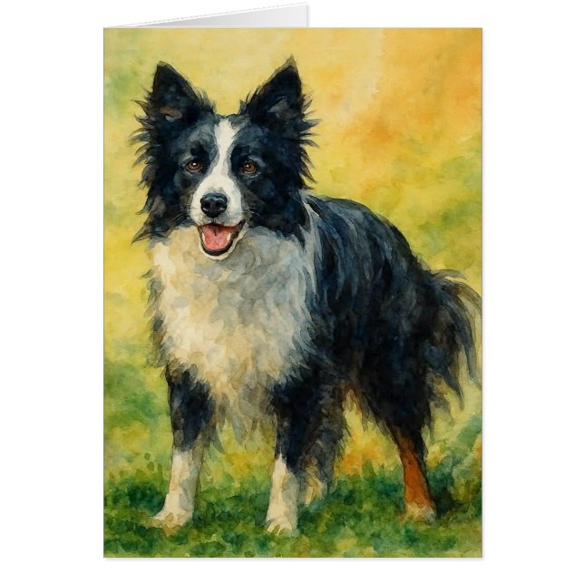 Cartão Border Collie (Frente)