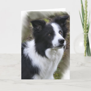 Cartão Border Collie Art Gifts