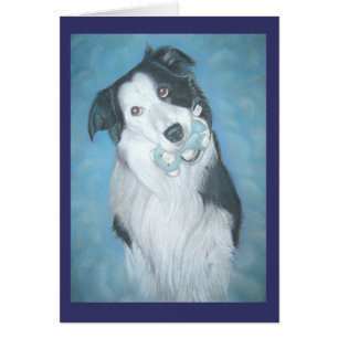 Cartão border collie bonito com o retrato do cão do