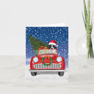 Cartão Border Collie Cão Dirigindo Carro Na Neve Natal