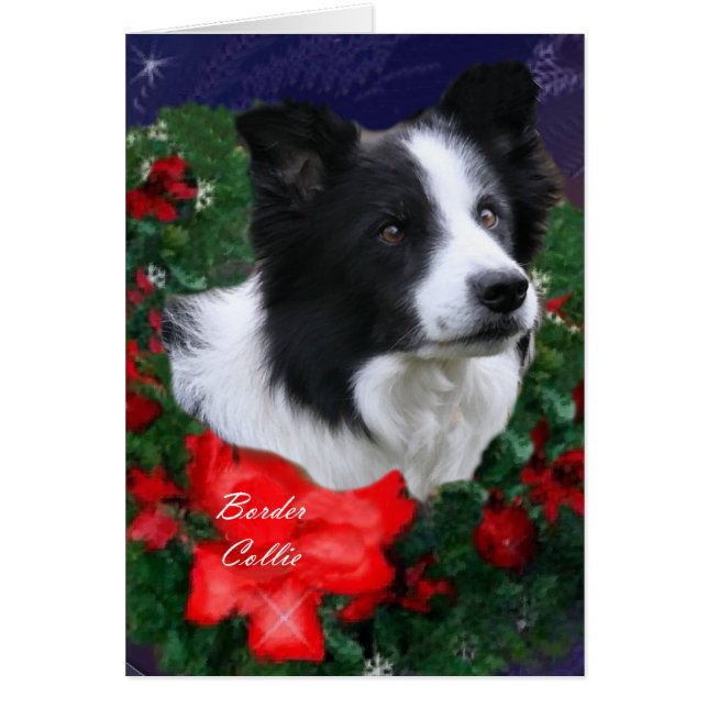 Cartão Border Collie Christmas (Frente)