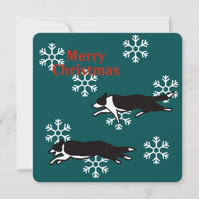 Cartão Border collie Christmas card カード (Frente)