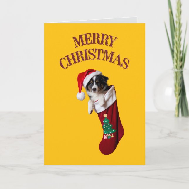 Cartão Border Collie Christmas Stocks (Frente)