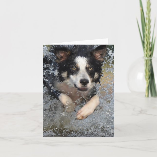 Cartão border collie correndo na água (Frente)