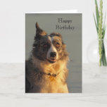 Cartão Border Collie Dog Running Happy Birthday Card<br><div class="desc">A photograph of an energetic border collie dog running along the beach one ear up and one down looking slightly scary</div>