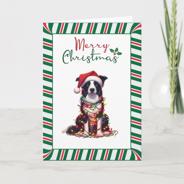 Cartão Border Collie Dog Wrapped In Christmas Light (Frente)