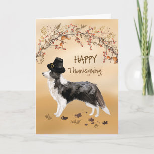 Cartão Border Collie Funny Pilgrim Hat Ação de Graças