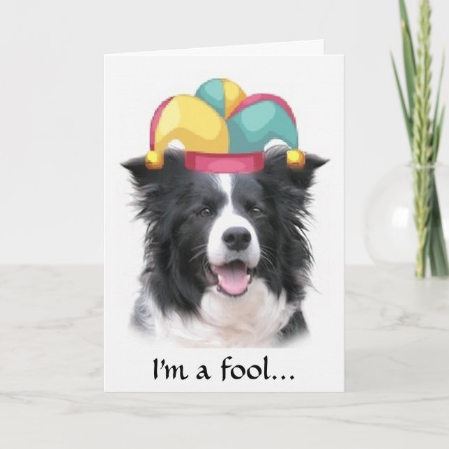 Cartão Border Collie Greeting Card~April Fool's Day (Frente)