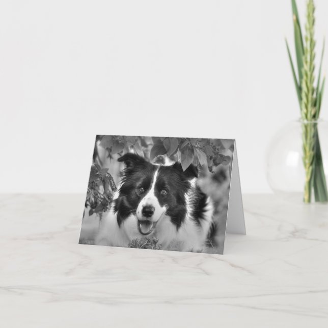 Cartão Border Collie in the Woods Birthday (Frente)