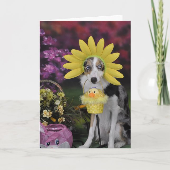 Cartão Border Collie Mother's Day Card (Frente)