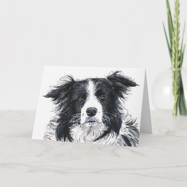 Cartão Border Collie Notecard (Frente)