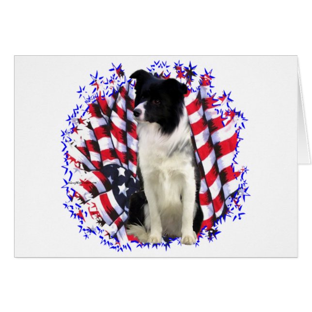Cartão Border Collie Patriot (Frente Horizontal)