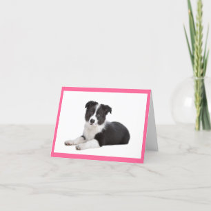 Cartão Border Collie Puppy Dog Blank Note Card