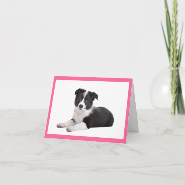 Cartão Border Collie Puppy Dog Blank Note Card (Frente)