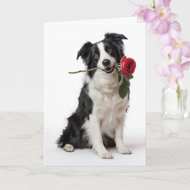 Cartão Border Collie Valentine – Coração Devotado (Orquídea)