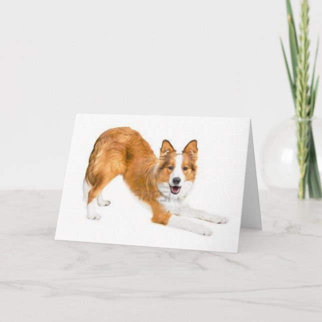 Cartão Border collie vermelho dourado Notecard (Frente)