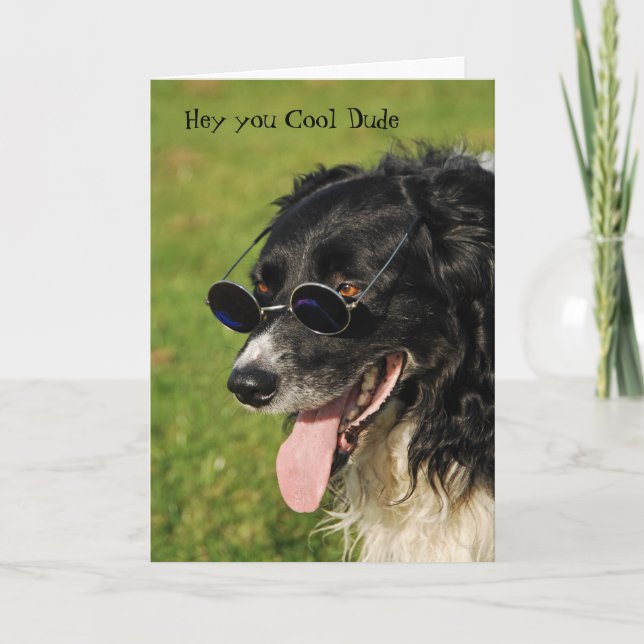Cartão Border Collie Yappy Birthday Card (Frente)