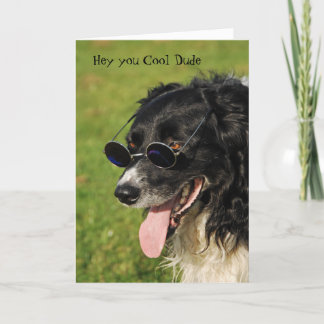 Cartão Border Collie Yappy Birthday Card
