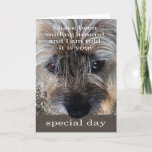 Cartão Border Terrier dog birthday card<br><div class="desc">A close up portrait of a Border Terrier dog with his nose over hanging the bottom banner strip." I have been sniffing around and I have been told it is your special day" is written in white." Happy Birthday" is written inside.</div>