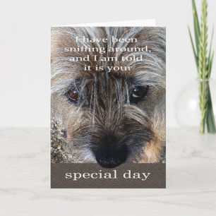 Cartão Border Terrier dog birthday card