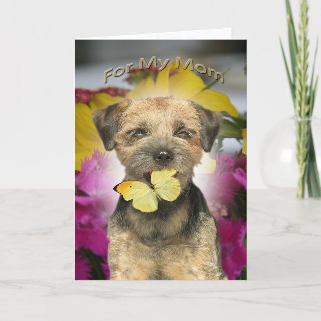 Cartão Border Terrier Mom Cards (Frente)
