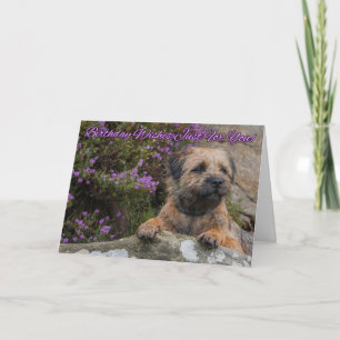 Cartão Border Terrier On A Rock With Wild Purple Heather